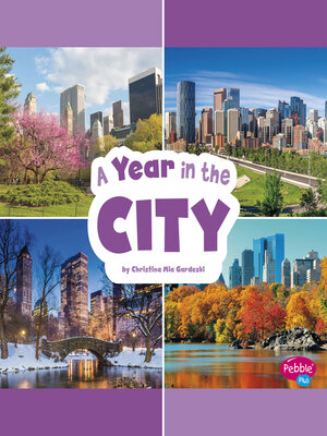 cover image of A Year in the City